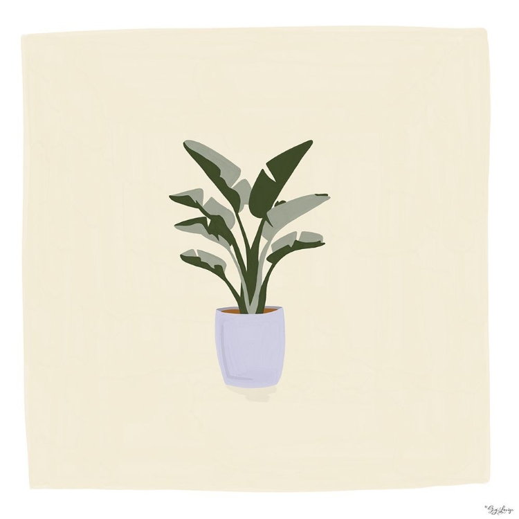 Picture of PLANT
