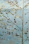 Picture of WHISPERING ASPEN 2