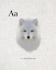 Picture of A ARCTIC FOX