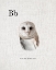 Picture of B BARN OWL