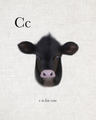 Picture of C IS FOR COW