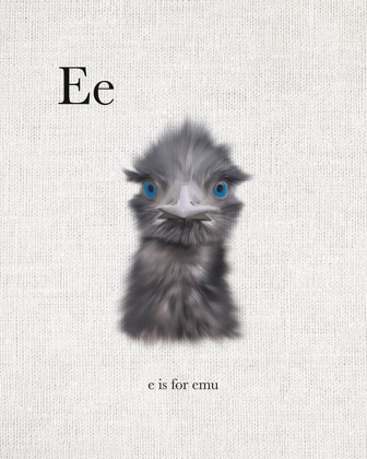 Picture of E IS FOR EMU