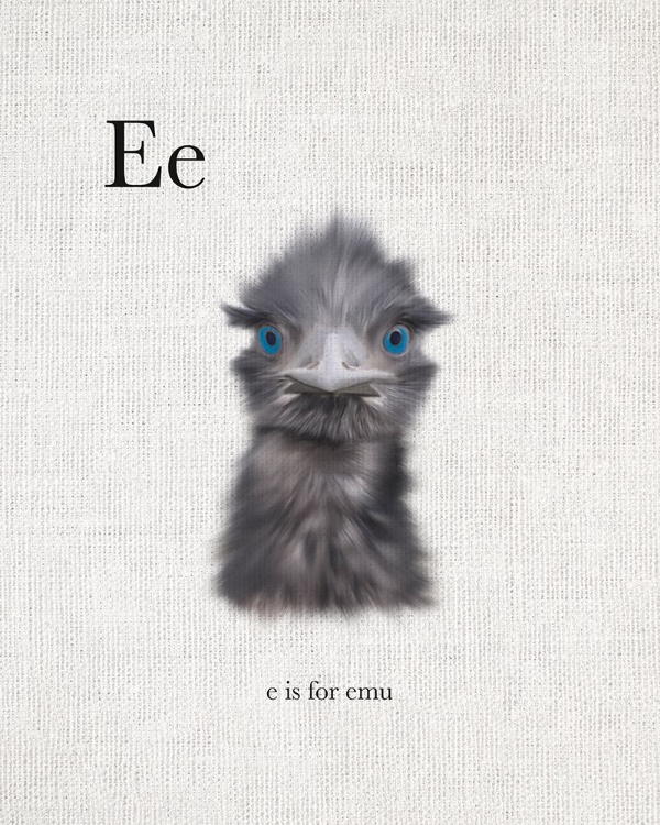 Picture of E IS FOR EMU