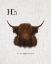 Picture of H IS FOR HIGHLAND COW