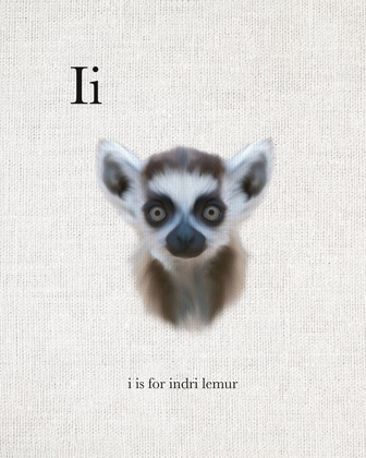 Picture of I IS FOR INDRI LEMUR
