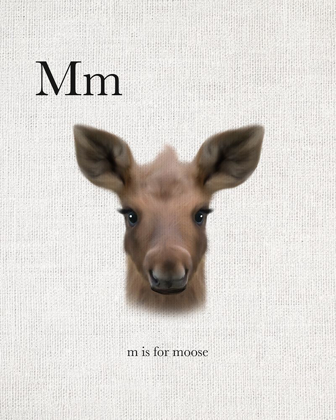 Picture of M IS FOR MOOSE