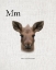 Picture of M IS FOR MOOSE