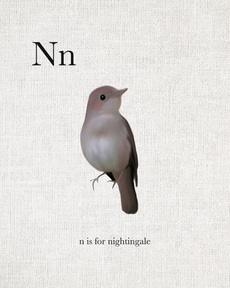 Picture of N IS FOR NIGHTINGALE