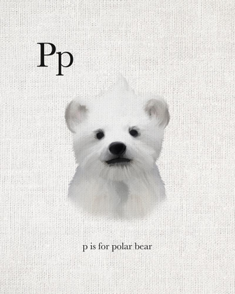 Picture of P IS FOR POLAR BEAR