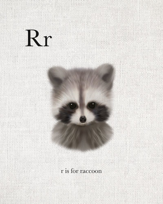 Picture of R IS FOR RACCOON
