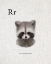 Picture of R IS FOR RACCOON