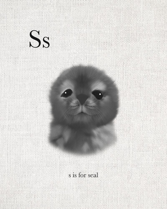 Picture of S IS FOR SEAL