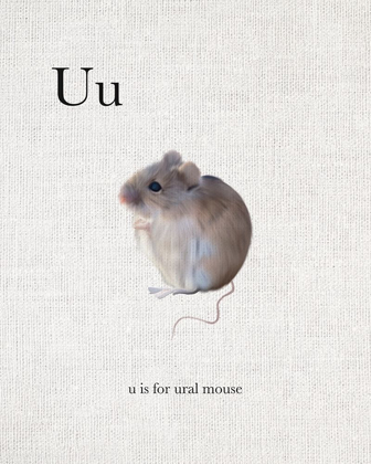 Picture of U IS FOR URAL MOUSE