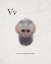 Picture of V IS FOR VERVET MONKEY