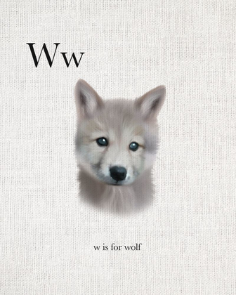 Picture of W IS FOR WOLF