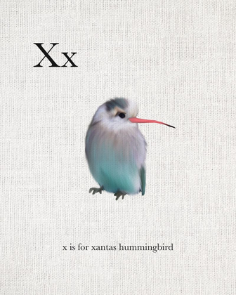 Picture of X IS FOR XANTAS HUMMINGBIRD