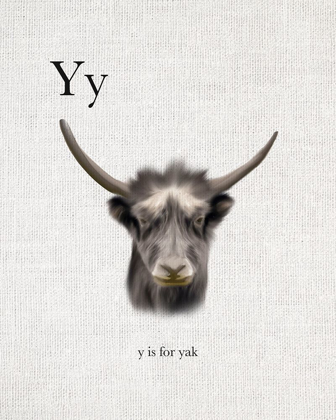 Picture of Y IS FOR YAK