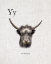 Picture of Y IS FOR YAK