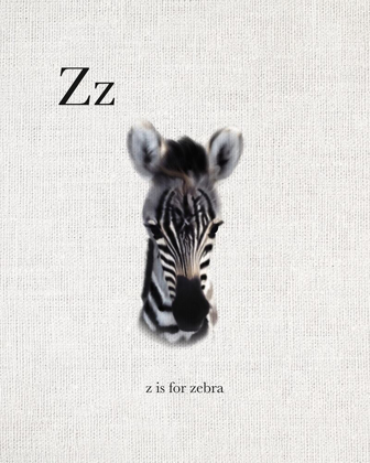 Picture of Z IS FOR ZEBRA