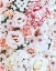 Picture of PUNCHY FLORALS FILE B