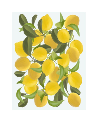 Picture of LEMONS B