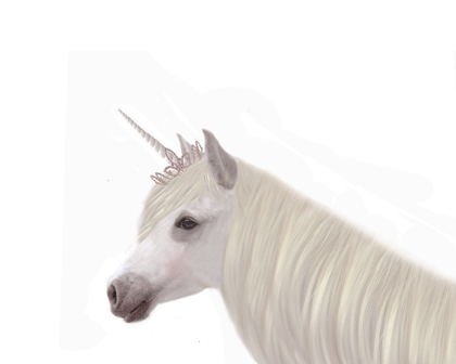 Picture of PRETTY UNICORN