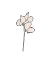 Picture of LINE DRAWING LEAVES BLUSH