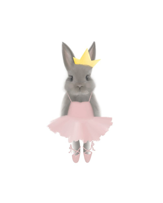 Picture of FULL BODY BALLET BUNNY