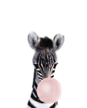 Picture of BABY ZEBRA BUBBLE GUM