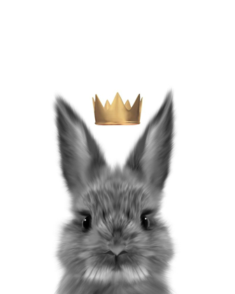 Picture of CROWN BUNNY