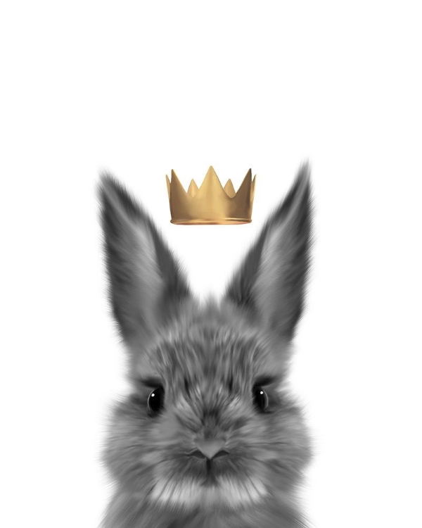 Picture of CROWN BUNNY