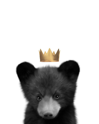 Picture of CROWN BLACK BEAR