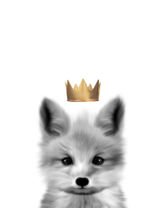 Picture of CROWN FOX