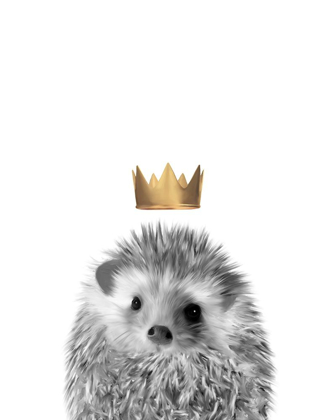 Picture of CROWN HEDGEHOG