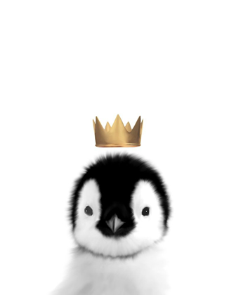 Picture of CROWN PENGUIN