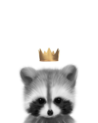 Picture of CROWN RACCOON