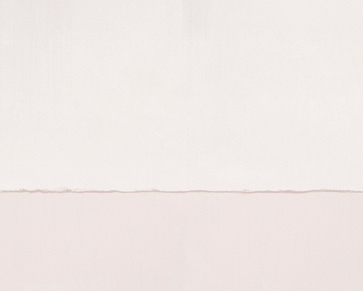 Picture of PALE ABSTRACT IN PINKS