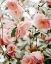 Picture of MOODY PINK FLORALS 16X20