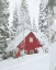 Picture of RED WINTER CABIN