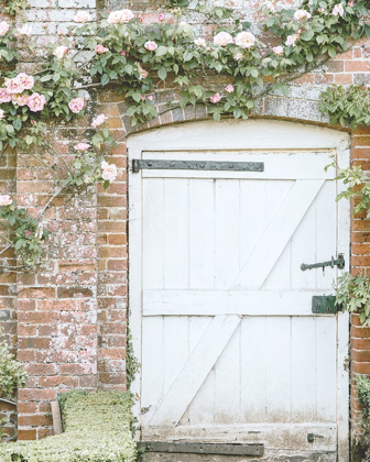 Picture of DARLING ROSE COTTAGE DOOR