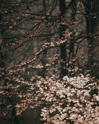 Picture of MOODY FOREST LEAVES