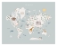 Picture of WORLD MAP