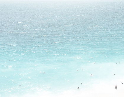 Picture of OCEAN LIFE1