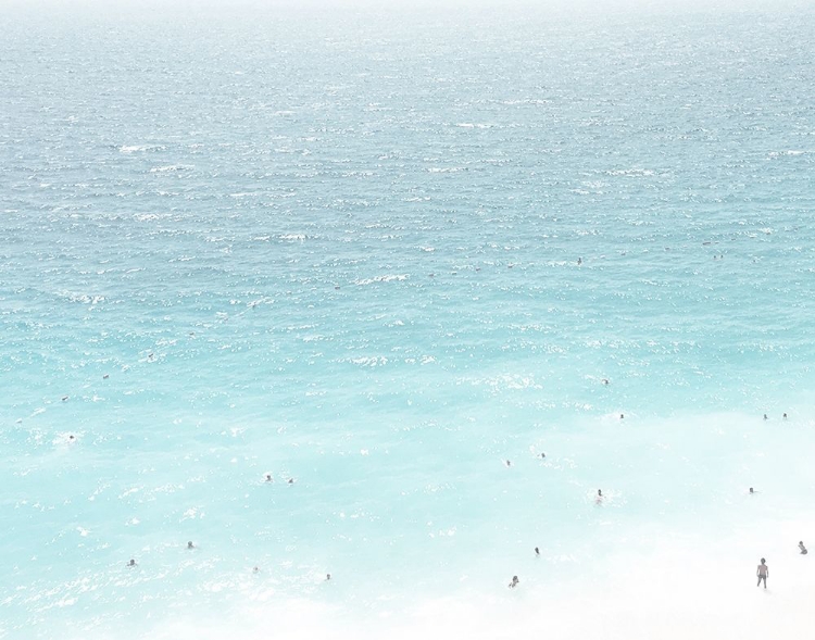 Picture of OCEAN LIFE1