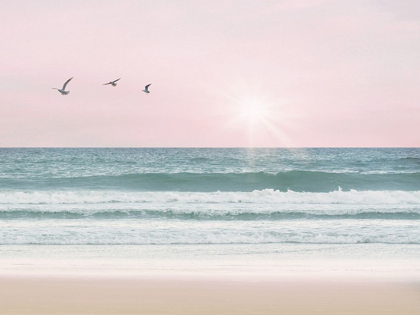 Picture of PINKY BEACH WITH BIRDS