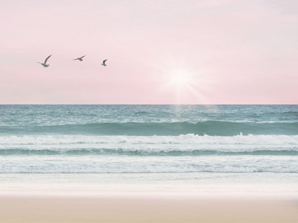 Picture of PINKY BEACH WITH BIRDS