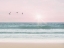 Picture of PINKY BEACH WITH BIRDS