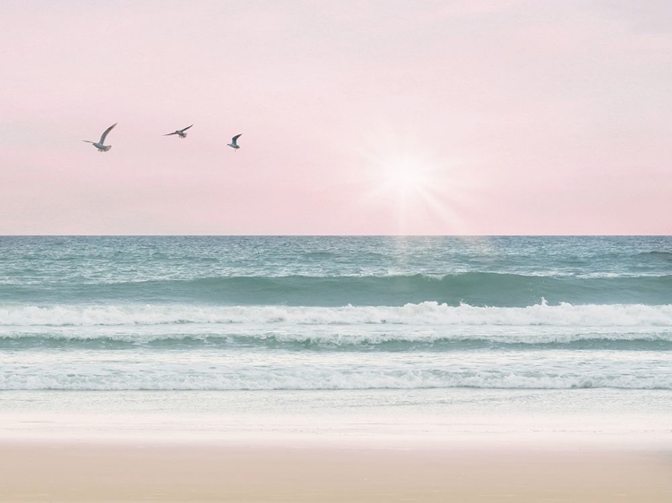 Picture of PINKY BEACH WITH BIRDS