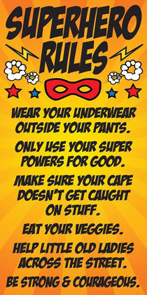 Picture of SUPERHERO RULES