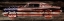 Picture of UNITED MUSCLE 1